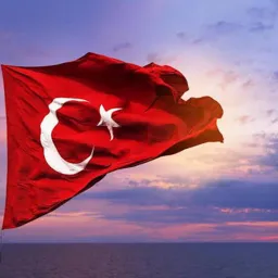 Adli Bilişim Türkiye
