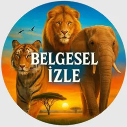 Belgesel İzle | Watch a documentary