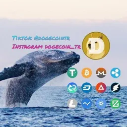 Crypto Moby Dick