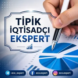 ✍🏻Tipik İqtisadçı-Ekspert📈