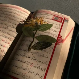 Gönül Kaleminden✍🏻