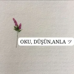 OKU, DÜŞÜN, ANLAツ
