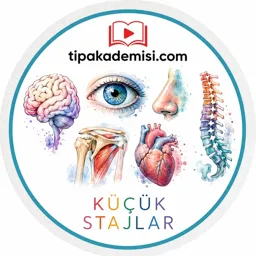 Tıp Akademisi Küçük Stajlar