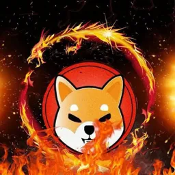 Shiba TÜRKİYE 🇹🇷