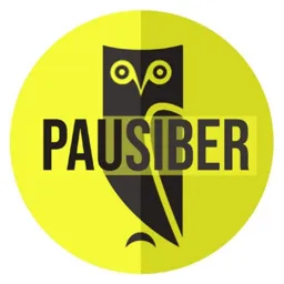 PaüSiber - Genel Grup