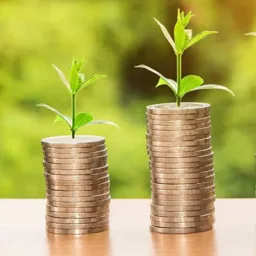 Borsa ve Finans ( Güçlü Portföy, Sağlam Gelecek )